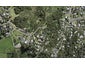 56 Cory Road, Palm Beach, Waiheke Island - Carousel 1