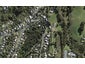 41 Kennedy Road, Surfdale, Waiheke Island - Carousel 1