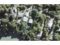 24 CLINTON RD, Tāwharanui Peninsula, Matakana - Carousel 1