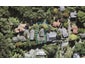 18 Catrina Avenue, Birkenhead, Auckland - Carousel 1
