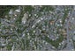 63 Buckingham Street, Melrose, Wellington - Carousel 1