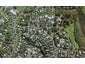 108 Arney Road, Remuera, Auckland - Carousel 1