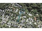 85A Balmain Road, Birkenhead, Auckland - Carousel 1