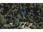 5 Hobson Terrace, Onetangi, Waiheke Island - Carousel 1