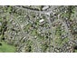 7D Hilton Place, Wai o Taiki Bay, Auckland - Carousel 1