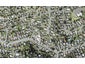 115A Carlisle Road, Northcross, Auckland - Carousel 1