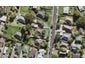 8A Potter Avenue, Northcote, Auckland - Carousel 1