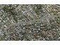99 Coronation Road, Hillcrest, Auckland - Carousel 1