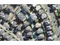 9 Sohlue Place, Oteha, Auckland - Carousel 1