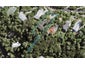 11 Opou Road, Titirangi, Auckland - Carousel 1
