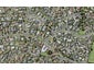 2B Fratley Avenue, Farm Cove, Auckland - Carousel 1
