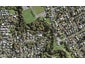 36 Cradock Street, Avondale, Auckland - Carousel 1