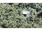 402 Scenic Drive, Waiatarua, Auckland - Carousel 1