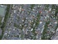 31 Hamilton Road, Hataitai, Wellington - Carousel 1