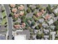 10 Westvale Avenue, Ranui, Auckland - Carousel 1