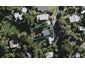 9 Bay Road, Ostend, Waiheke Island - Carousel 1