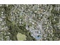 14A Kaurilands Road, Titirangi, Auckland - Carousel 1