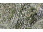 3 Helvetia Drive, Browns Bay, Auckland - Carousel 1
