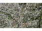1A Sale Street, Howick, Auckland - Carousel 1
