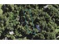 11 Taraire Road, Titirangi, Auckland - Carousel 1