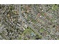 4241 Great North Road, Glendene, Auckland - Carousel 1