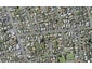 69 Old Lake Road, Narrow Neck, Auckland - Carousel 1