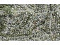 11 Battenburg Place, Torbay, Auckland - Carousel 1