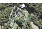 8 Hayes Road, Henderson Valley, Auckland - Carousel 1