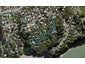 16 Wesley Bay Glade, Hillsborough, Auckland - Carousel 1