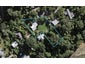 56 Albert Crescent, Ostend, Waiheke Island - Carousel 1