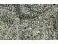 35 Acacia Road, Torbay, Auckland - Carousel 1
