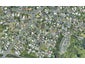 12 Birmingham Street, Judea, Tauranga - Carousel 1