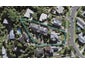 1/22 Mariposa Crescent, Birkenhead, Auckland - Carousel 1