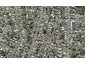 45A Finch Street, Morningside, Auckland - Carousel 1