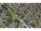 51 Hendon Avenue, Mount Albert, Auckland - Carousel 1