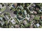 17 Scotstoun Place, Glen Eden, Auckland - Carousel 1