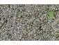 5B Janine Place, Bucklands Beach, Auckland - Carousel 1
