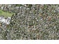 73 Glenmore Road, Sunnyhills, Auckland - Carousel 1