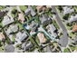 23 Currell Way, Somerville, Auckland - Carousel 1