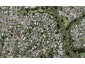 27C Ennis Avenue, Pakuranga Heights, Auckland - Carousel 1