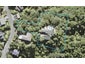 40 Kitewaho Road, Swanson, Auckland - Carousel 1