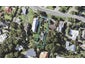 82 Carlton Crescent, Maraetai, Auckland - Carousel 1