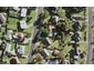 21B Sanft Avenue, Mount Roskill, Auckland - Carousel 1