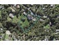 74 Attwood Road, Paremoremo, Auckland - Carousel 1