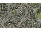 3C Catton Crescent, Mount Roskill, Auckland - Carousel 1