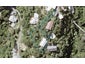 38 Howard Road, Point Howard, Lower Hutt - Carousel 1