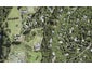 189 Carter Road, Oratia, Auckland - Carousel 1