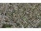 11C Merida Place, Unsworth Heights, Auckland - Carousel 1