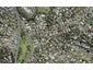 9C Marlborough Avenue, Glenfield, Auckland - Carousel 1