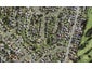 16 Sanft Avenue, Mount Roskill, Auckland - Carousel 1